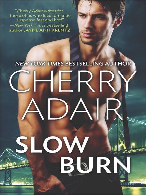 Title details for Slow Burn: Seducing Mr. Right\Take Me by Cherry Adair - Available